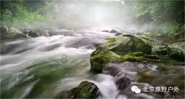 神剧中燕双鹰的“穿越”武器不简单，都是80年代的世界名枪